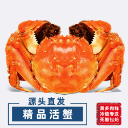 陈鲜生 大闸蟹全母蟹去绳足重3.0-3.3两8只鲜活现货超大螃蟹生鲜礼盒装源头直发