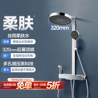 安华 丝雨出水全铜水路花洒套装 R8P