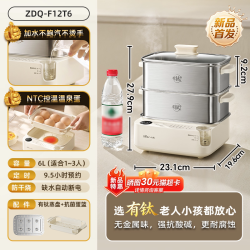 小熊 迷你电蒸锅多功能家用新款不锈钢小型煮蛋器温泉蛋机早餐机