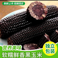 黑糯玉米好价