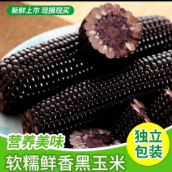 黑糯玉米好价