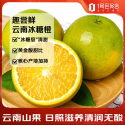 趣尝鲜 云南高山冰糖橙 净重4.5斤装