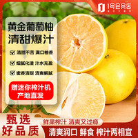 趣尝鲜 黄金葡萄柚 净重4.5斤