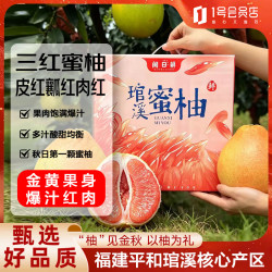 趣尝鲜 福建三红蜜柚礼盒装 净重8斤起