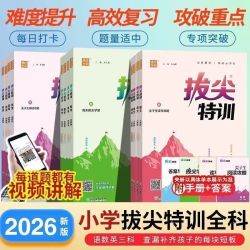 2025秋小学拔尖特训上册小学语数英同步练习题