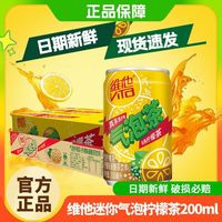 维他 气泡柠檬茶200ml*12罐装柠檬味气泡水整箱茶饮料冰爽碳酸饮料