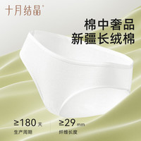 十月结晶 一次性内裤  30条 XL