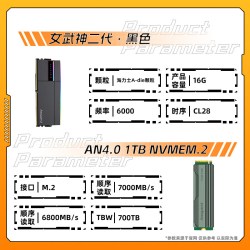 阿斯加特 女武神二代 32G/48G DDR5 6000台式机内存条固态1T套装