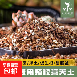 京喜 船长多肉营养土专用颗粒土种植养花盆栽通用彩石泥炭花土壤铺面石 成株土50%颗粒土