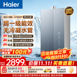 海尔 小海鲸套系燃气热水器K70SMAX/K70SGT无冷凝水管超一级能效 16L