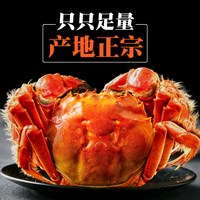 移动端：醉卧阳澄 正宗阳澄湖大闸蟹礼盒螃蟹鲜活大闸蟹螃蟹全母蟹大闸蟹官方旗舰店