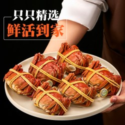 醉卧阳澄 正宗阳澄湖大闸蟹礼盒螃蟹鲜活大闸蟹3两全母蟹大闸蟹官方旗舰店