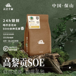 云上十亩 云南保山精品手冲咖啡豆