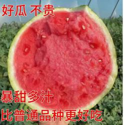 京喜加 安徽郭庙 美都 8424 麒麟西瓜 4-6斤