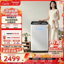 松下 飓浪洗 变频直驱波轮洗衣机 12公斤 XQB120-T3A6