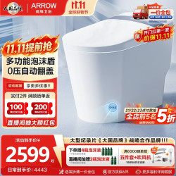 箭牌 AKE1186 零水压智能坐便器 305mm坑距