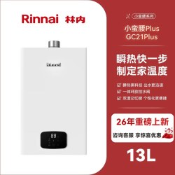林内 JSQ31-GC21Plus 燃气热水器