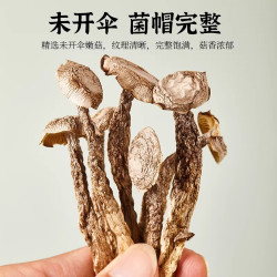 云南精品鹿茸菇 50g*1袋