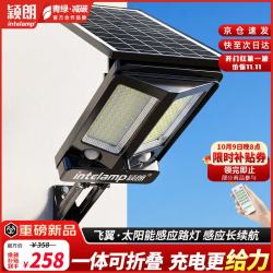 颖朗 太阳能庭院照明灯户外感应灯超亮大功率防水农村院子新款一体路灯