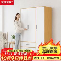 金经金属 钢制衣柜主卧室家用出租房铁艺落地柜环保铁皮儿童衣橱长1.2米