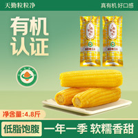 天勤粒粒净 有机精品铝箔黄糯玉米8穗*300g＞4.8斤 鲜食新玉米糯玉米真空包装