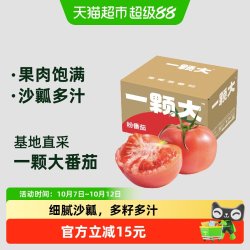 一颗大 粉番茄沙瓤西红柿550g