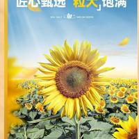 百亿补贴：洽洽 瓜子 海盐味