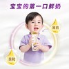 每日鲜语 百补每日鲜语A2/全脂鲜牛奶185mlx10瓶鲜奶牛奶小瓶