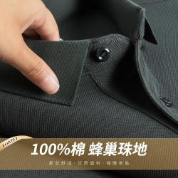 富铤 秋季纯棉T恤男式商务长袖Polo衫