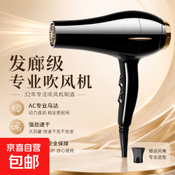 电吹风机负离子护发静音速干家用大风力蓝光理发店专用大功率宿舍 黑色标准版