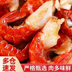 国联 龙霸大号小龙虾尾去冰净重310g一级110-130颗/斤清水原料冷冻鲜剥