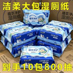 洁柔 湿厕纸家庭大包装加厚湿巾清洁擦屁屁家用厕纸
