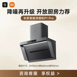 米家 P1 Pro系列 CXW-165-MJ04C 侧吸式吸油烟机 星辰银