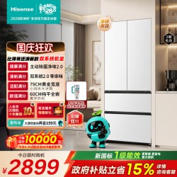海信 BCD-509E5SFZKD 法式多门超薄零嵌入冰箱