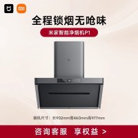 米家 P1系列 CXW-165-MJ04CY 侧吸式吸油烟机