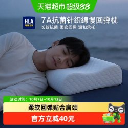 海澜之家 枕头护颈椎助睡眠抗菌记忆绵枕芯一对成人单人一只装家用