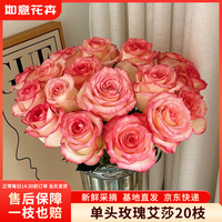 如意 玫瑰花20枝如意基地鲜切花水养插花生活花束山东源头直发