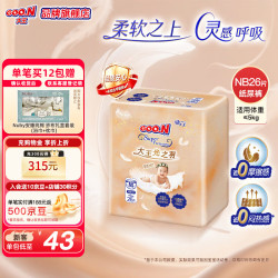 大王 天使自然之恩纸尿裤拉拉裤全尺码送湿巾 XXXL22片