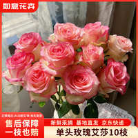 如意 玫瑰花10枝如意基地鲜切花水养插花生活花束山东源头直发