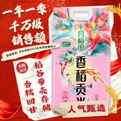 十月稻田 香稻贡米 5kg