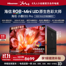 海信 小墨系列 85E5S-PRO 液晶电视 85英寸 伸缩挂架