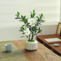 八芽 小叶栀子花盆栽开花植物小叶栀子花-陶瓷竖纹盆 带盆栽好