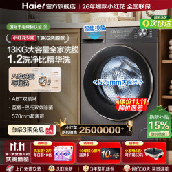海尔 58E/58A1带烘干超薄嵌 13公斤洗脱款 滚筒单洗