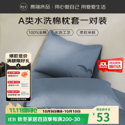 源生活全棉水洗棉枕套100%纯棉枕头套枕芯套一对装 雾蓝灰 48x74cm