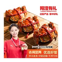 阳澄有礼 大闸蟹礼盒装特大鲜活螃蟹去绳净重足两中秋