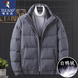 啄木鸟 羽绒服男士秋冬季立领休闲宽松大码收口袖上衣外套父亲节礼物