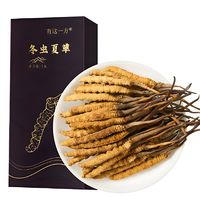 云南白药 冬虫夏草 1g/盒(5根)