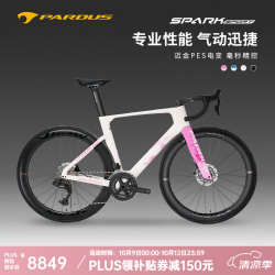 瑞豹 电变 公路车 碳轮 贝壳白粉-PES电变 -5天内