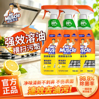 威猛先生 油污清洁剂 455g*3瓶