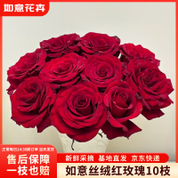 如意 玫瑰花10枝如意基地鲜切花插花花束如意基地源头直发